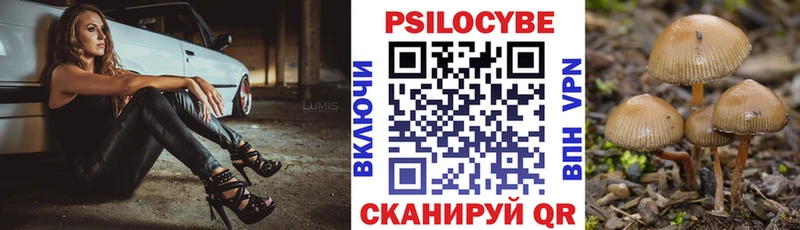 Псилоцибиновые грибы Psilocybe  Кириши 